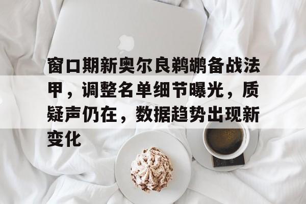 关于窗口期新奥尔良鹈鹕备战法甲，调整名单细节曝光，质疑声仍在，数据趋势出现新变化的信息