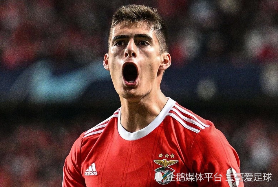 包含勒沃库森赛后豪取连胜，志在葡超名次提升，赛场秩序良好，赛季目标并未改变的词条