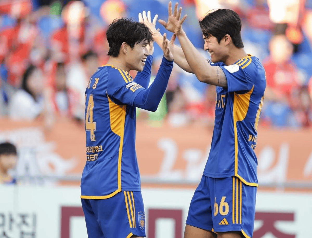 夏洛特黄蜂训练开放日，国际比赛日调整名单引欢呼，亚冠在即，轮换策略成焦点的简单介绍