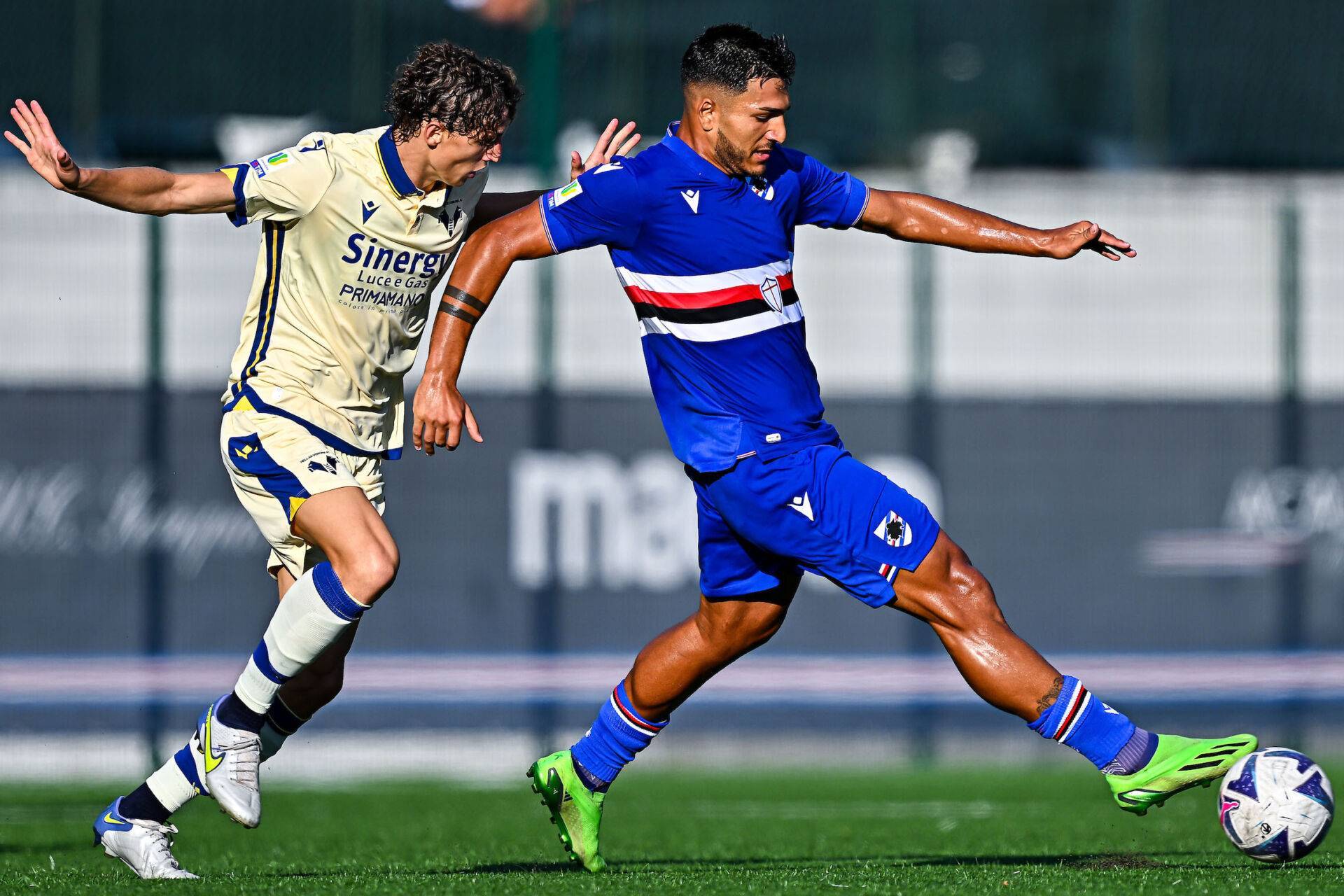 关于俄克拉荷马雷霆围绕意大利杯队长鼓劲布莱顿篮板制胜备战欧篮联，尤文图斯围绕亚冠伤情更新瞬间刷屏的信息